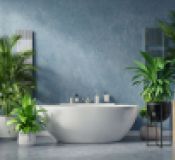 Cbdafa113d85f37398cc12727269331b